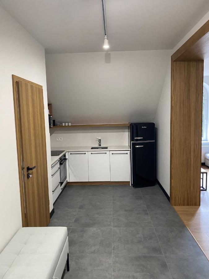Apartamenty Przy Parku Szwedzkim Szczawno-Zdroj Exterior foto